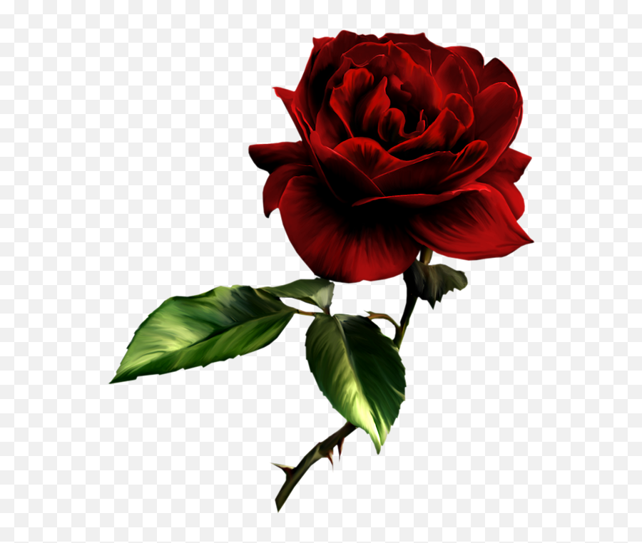 Free Red Rose Transparent Background Download Free Clip Art - Dark Red Rose Png Emoji,Red Rose Emoji