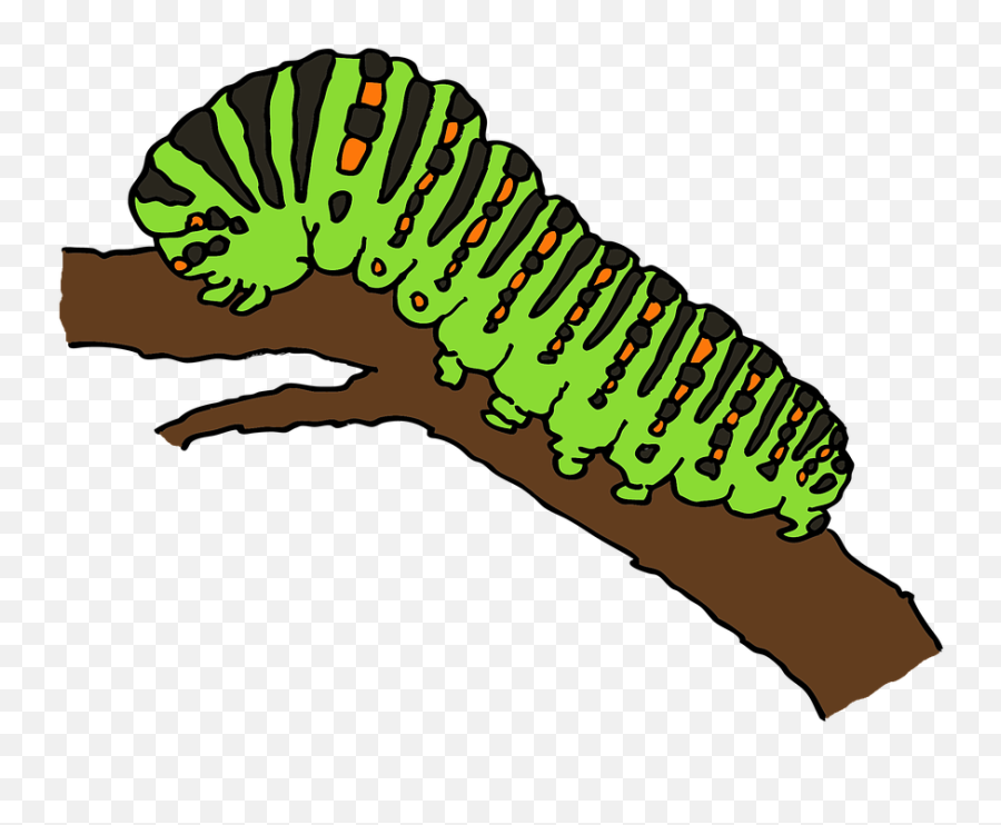 Free Caterpillar Worm Illustrations - Caterpillar Of Butterfly Clipart Emoji,Book Caterpillar Emoji