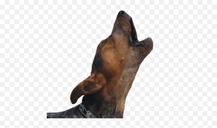 Barking Dog Sounds Apks - Dog Howl No Background Emoji,German Shepherd Emoji Android