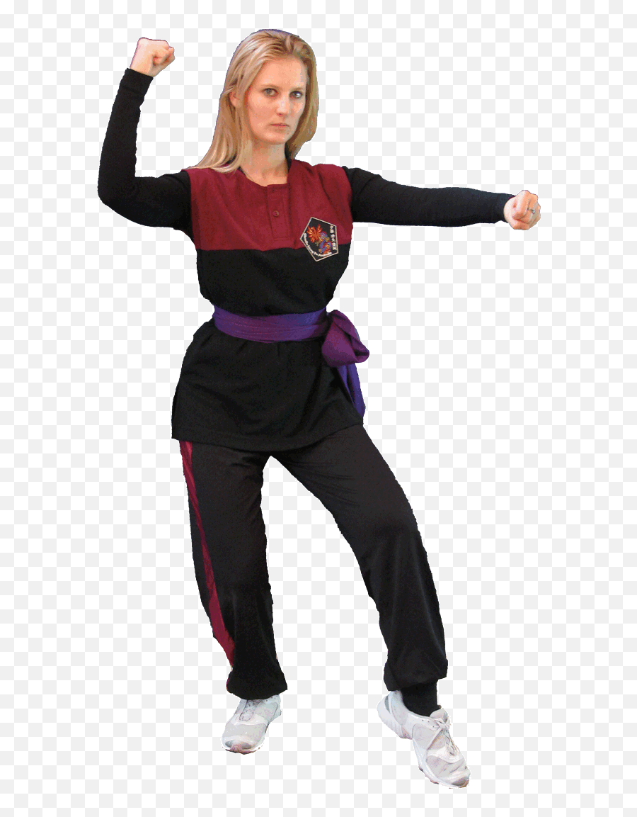 Shaolin Martial Art Academy Kung Fu Instruction On - Line Emoji,Is Your Inner Child Your Emotions Or Yuor Heart