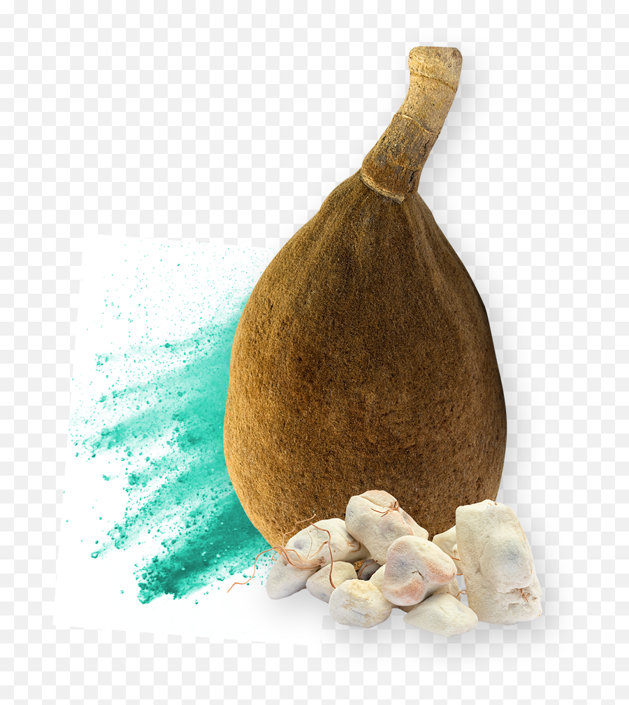 Baobab - Nexira Emoji,Citrus Fruit Named After A City In Morocco Emoji