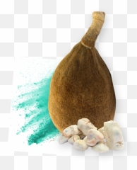 Baobab - Nexira Emoji,Citrus Fruit Named After A City In Morocco Emoji