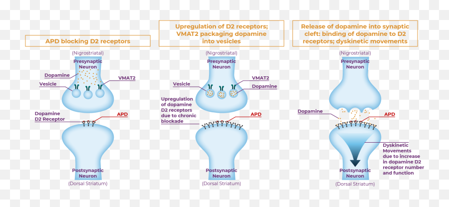 Insights Into In - Person And Virtual Assessment And Treatment Emoji,Striatum And Emotions