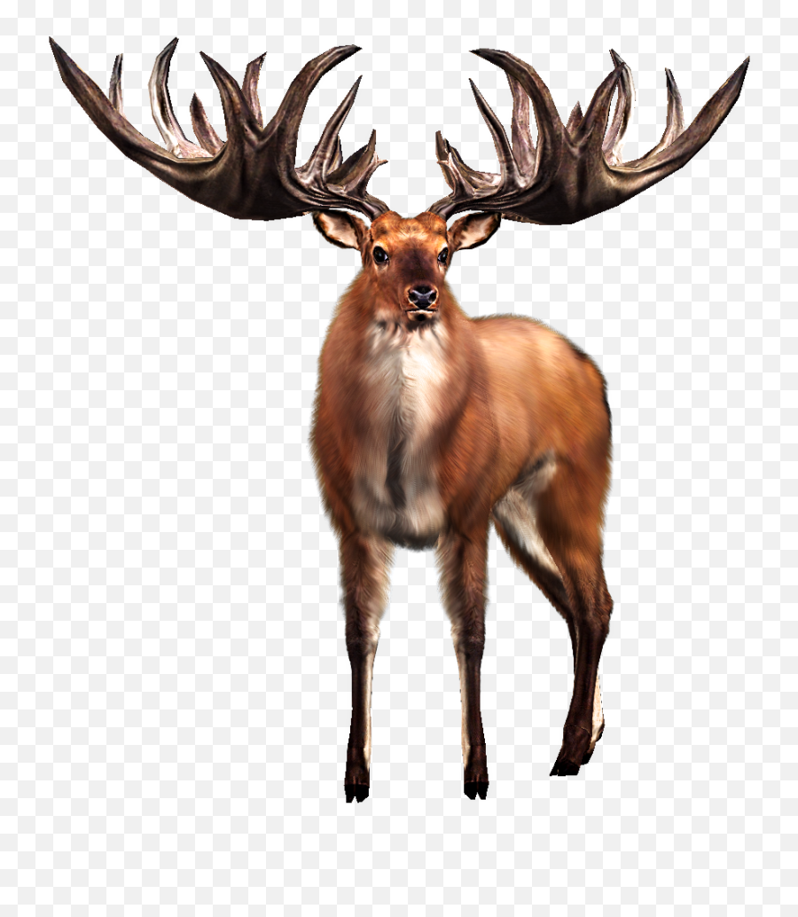 Big Buck - Irish Elk Big Buck Hunter Emoji,Whitetail Deer Emoji