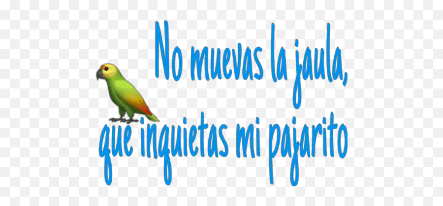 Frases Piropos Hot - Parrots Emoji,Parrot Emojis