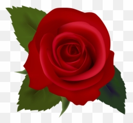 Red Roses Clip Art Images Free Clipart Images 2 - Clipartix Clipart Red Rose Png Emoji,Red Rose Emoji