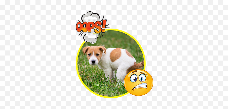 Dog Poop Removal Service - Poop Puppy Emoji,Yogi Emoticon