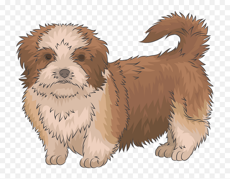 Shih Tzu Transparent Background Page 6 - Line17qqcom Shih Tzu Brown Clipart Emoji,Yorkie Emoji