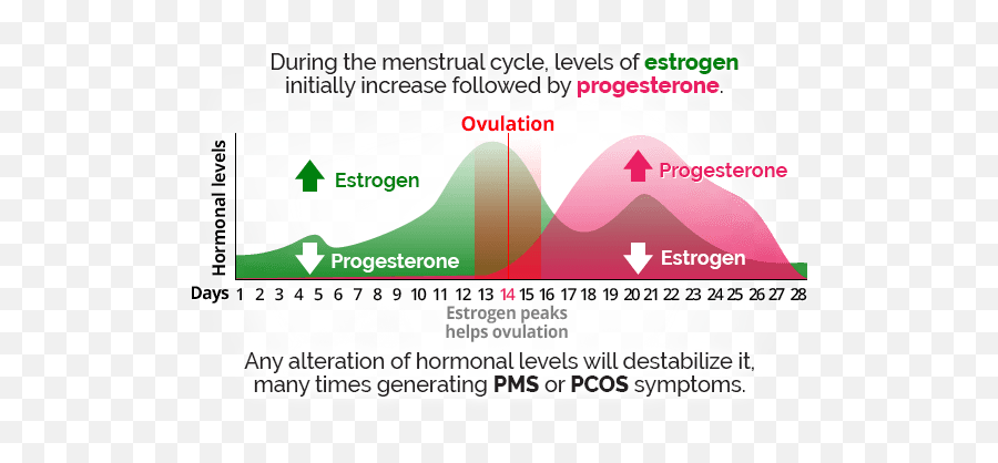 Menstrual Leave - Menstrual Cycle Pms Emoji,Emotions Period Cycle