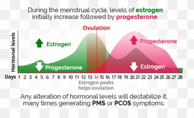 Menstrual Leave - Menstrual Cycle Pms Emoji,Emotions Period Cycle