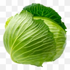 Savoy Cabbage Leaf Vegetable - Cabbage Png Download 768 Green Cabbage Emoji,Cabbage Emoticon