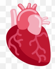 Emojis Highlighting Some Awesome Facts - Anatomical Heart Emoji Discord,Two In The Pinky One In The Stinky Emoticon