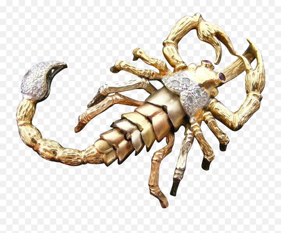 Cuque 15810 - Gold Scorpion Png Emoji,Lagre Dirty Emoji Png