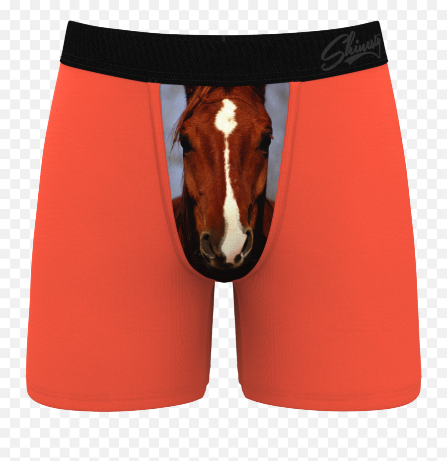 The Prized Pony Coral Horse Ball Hammock Pouch Underwear - Christmas Boxer Shorts Emoji,Panties Emoji