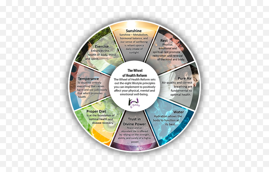 02 Group Coaching Du0027sozo Health U0026 Performance Coaching Emoji,Emotion Wheel To Fill Out