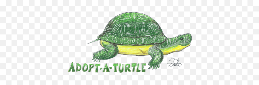 Introducing Marissa Stapley U2013 Your Connection To Wildlife Emoji,The Sims 4 Turtle Emotion