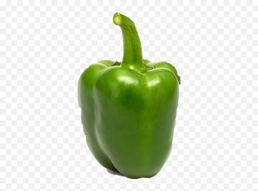 Discover Trending - Green Pepper Emoji,Bell Pepper Emoji