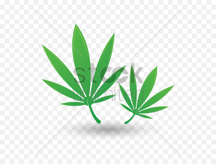 Hemp - Leaf Clipart Full Size Clipart 859259 Pinclipart Language Emoji,Potleaf Emoji Hemp - Leaf Clipart Full Size Clipart 859259 Pinclipart Language Emoji,Potleaf Emoji