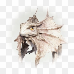 Bdo Wasteland Iguana Knowledge Database Wasteland Iguana - Bdo Wasteland Iguana Location Emoji,Bdo Ranger Emoticons
