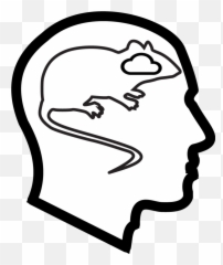 Research Algorithms For Survival - Hair Design Emoji,Emotions Drawing Study