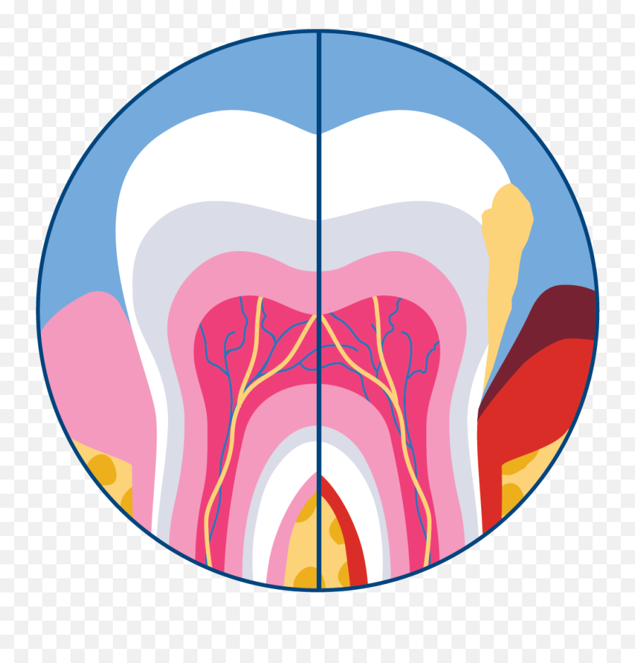 News Dental Hygiene Nation - Language Emoji,Face Doesn't Hide Emotions Meme