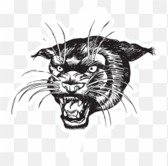 Keep Pounding Carolina Panthers Sticker - Aggression Emoji,Carolina Panthers Emoji