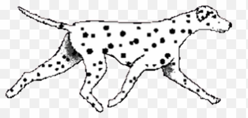 Top Dalmatian Dogs Stickers For Android U0026 Ios Gfycat Emoji,Dogf Emoticons