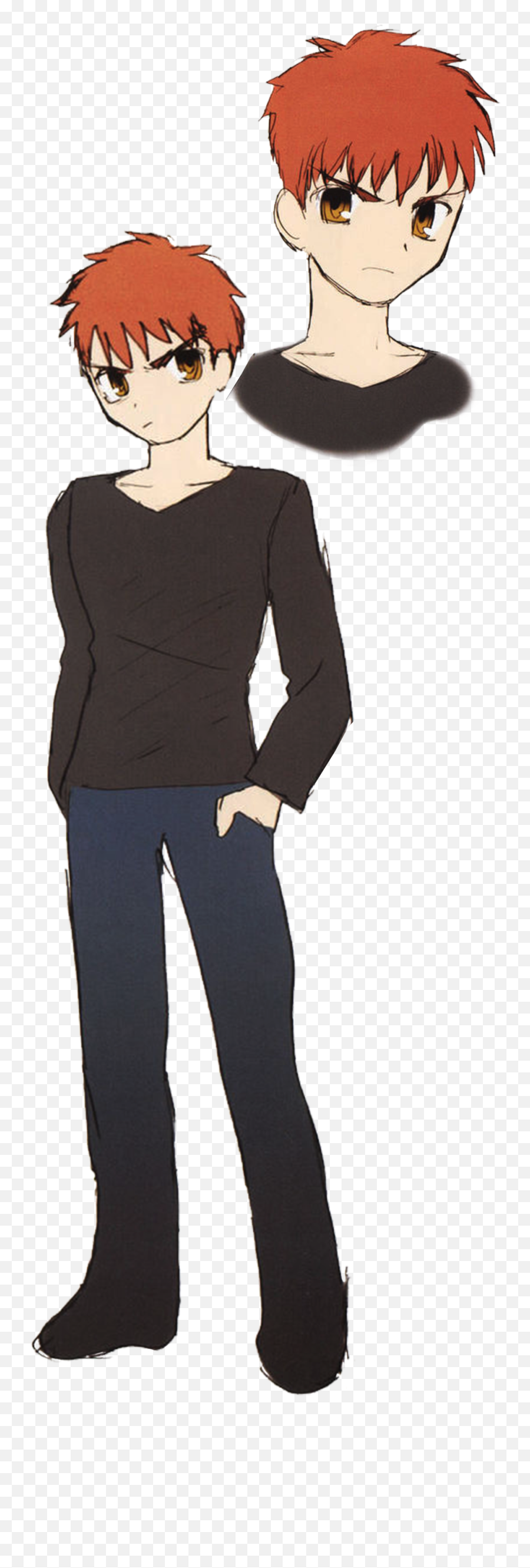 Shirou Emiya Type - Moon Wiki Fandom Emoji,Qin Beauty Emotion