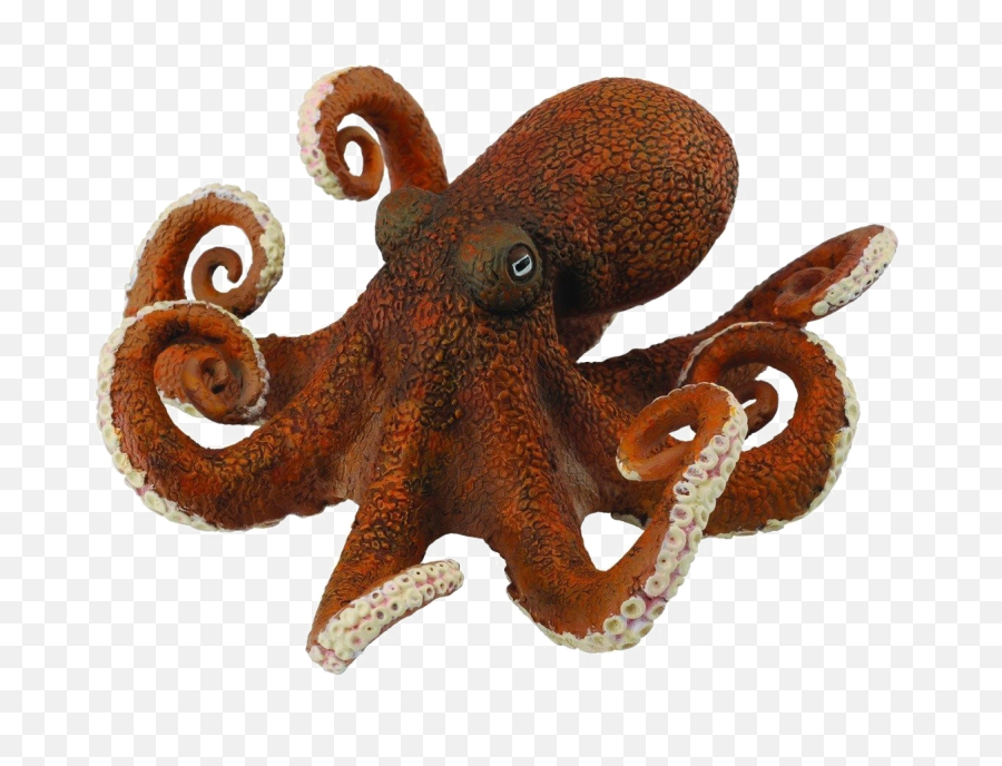 Octopus Transparent - 10 Free Hq Online Puzzle Games On Transparent Background Octopus Transparent Emoji,Octopus Emoji