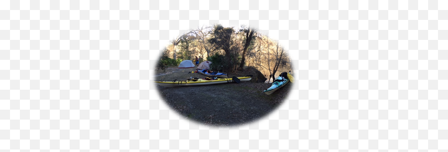 Withlachoochee River North From Ray City Ga To Emoji,Emotion Spitfire Kayaks