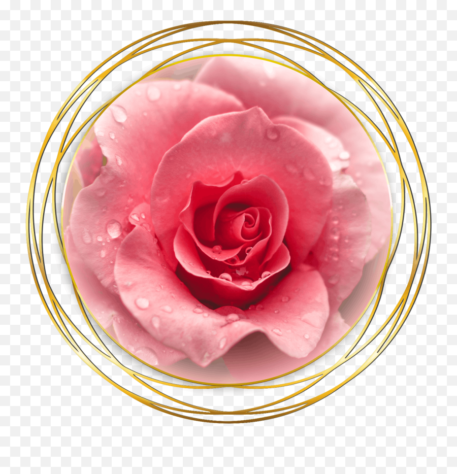 Venusian Rose Healing - Rose Emoji,Deep Emotions Roses