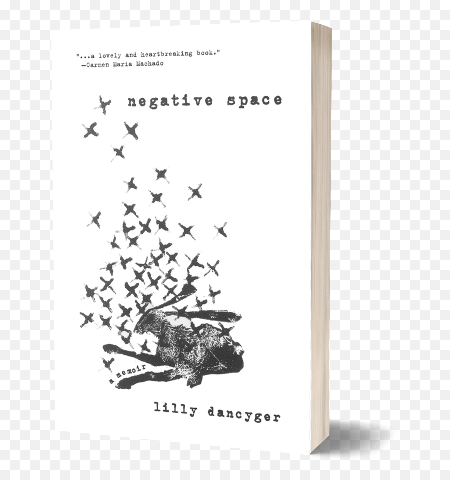 Catapult How Writing Can Raise The Dead An Interview With - Negative Space Lilly Dancyger Emoji,Writers Negative Emotions List