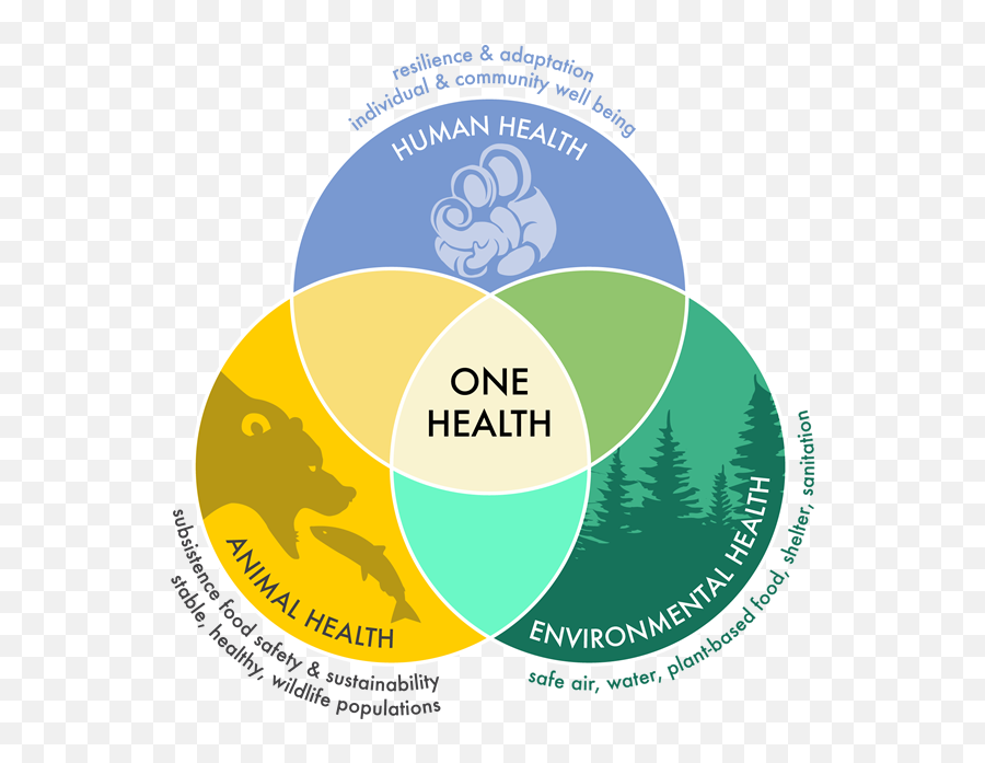 What Is One Health Center For One Health Research - One Health Emoji,Emotion Significado De Trouxa