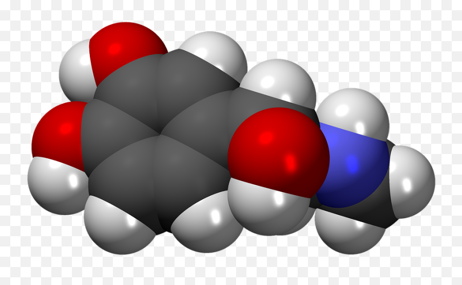 Free Photo Adrenaline Molecule Model - Las Hormonas De La Adrenalina Emoji,Emotions And Chemistry Of Hormones