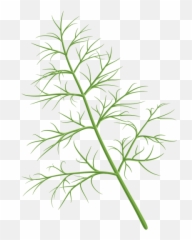 Dill Png Transparent Image - Freepngdesigncom Emoji,Eggplant Emoji League