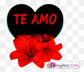 Mensajes Tarjetas Y Frases De Amor - Tiernas Frases Girly Emoji,Cowco Emoticons
