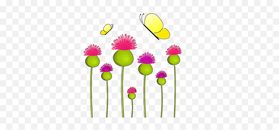 Wild Flower Flower Vectors - Summer Activities English Lesson Emoji,Thistle Emoji