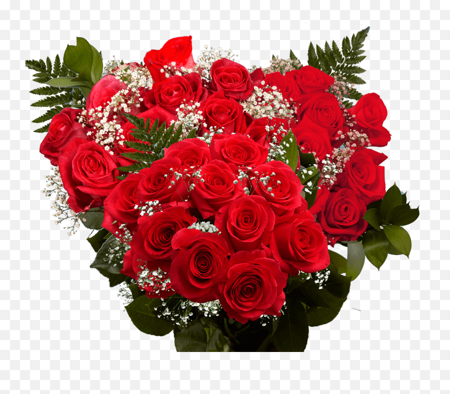 Valentines Day Dozen Red Roses - Rose Mothers Day Flowers Emoji,Deep Emotions Roses