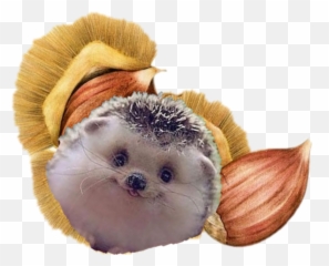 The Most Edited - Illustration Of Chestnut Emoji,What Does The Porxupine Emoticon
