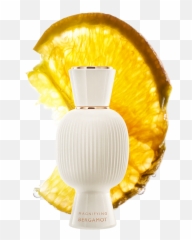Bvlgari Allegra Magnifying Bergamot Eau De Parfum 41277 Emoji,Ripe With Emotions
