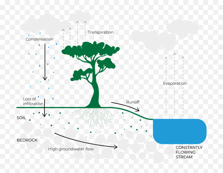 Freshwater Precious And Under Threat - Food Planet Prize Emoji,Glen Rhine Dna Emotion