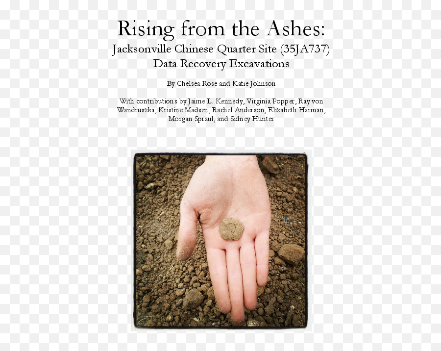 Pdf Rising From The Ashes Jacksonville Chinese Quarter Emoji,Garyyoung Emotions Cd