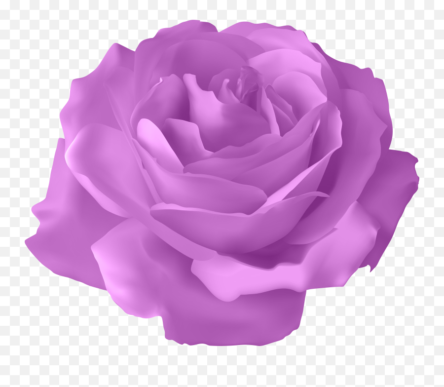 Blue Rose Flower - Purple Rose Transparent Png Clip Art Emoji,Blue Rose Emoji