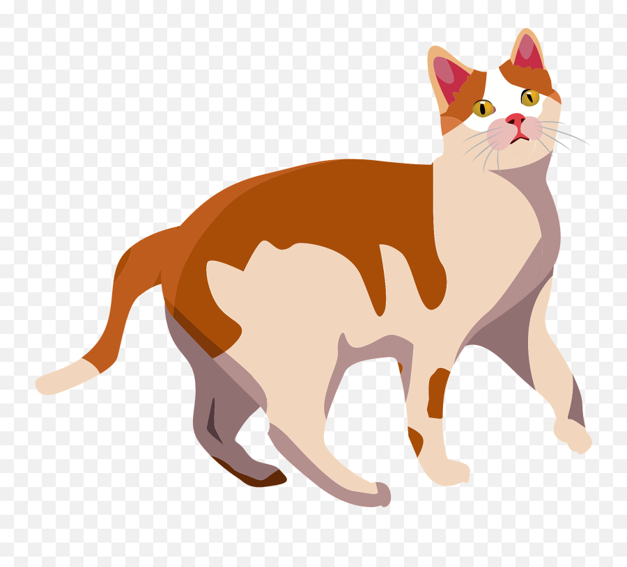 Orange And White Cat Clipart Free Download Transparent Png - Dogs And Cats Vector Png Emoji,White Fluffy Dog Emojis