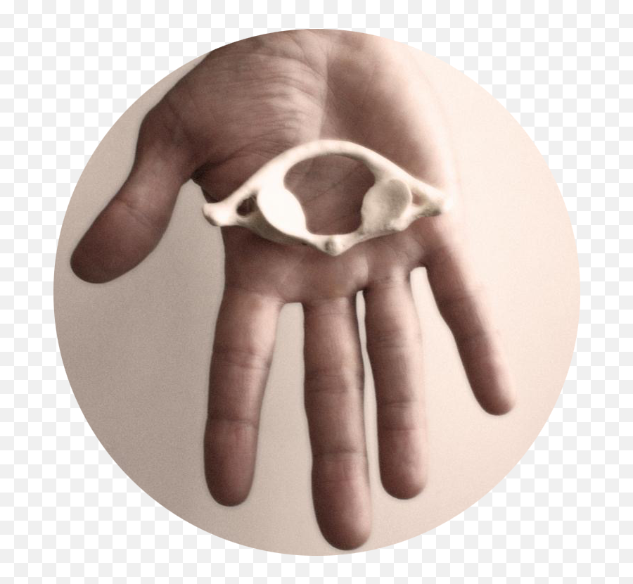 Atlas Activation Protocol Michael Hane - Sign Language Emoji,Ring.finger Pain Emotion