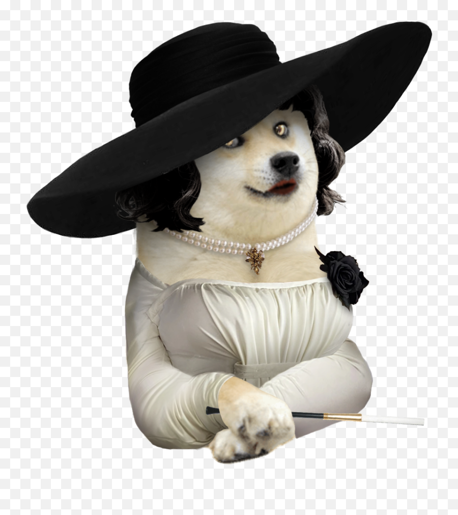 Yimster - Lady Doge Emoji,Shit Emoji Hat For Dog