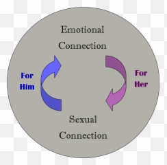 The 72 Hour Club What Is The Real Benefit Of A Thriving Sex Emoji,Whats Life Without Emotions