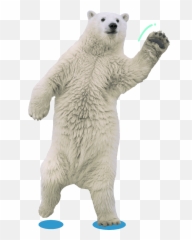 Clapboss U2013 Control Your Smart Home With A Clap - Polar Bear Hand Up Emoji,Animated Clapping Emojis Apps