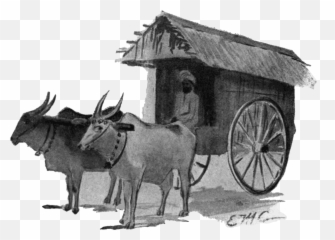 The Project Gutenberg Ebook Of In Kaliu0027s Country By Emily Emoji,Seeing Emotions Through The Eyes Of Impertinence
