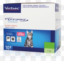 Effipro Spot - Effipro Cat Emoji,Cat Emotions Ear Chart
